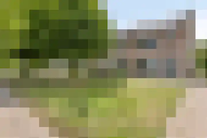 Kerkakkers 1 Alphen thumbnail 8