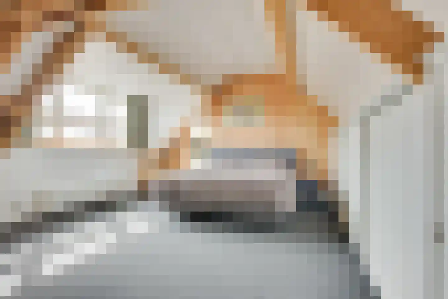 Kerkakkers 18 Zeeland thumbnail 30