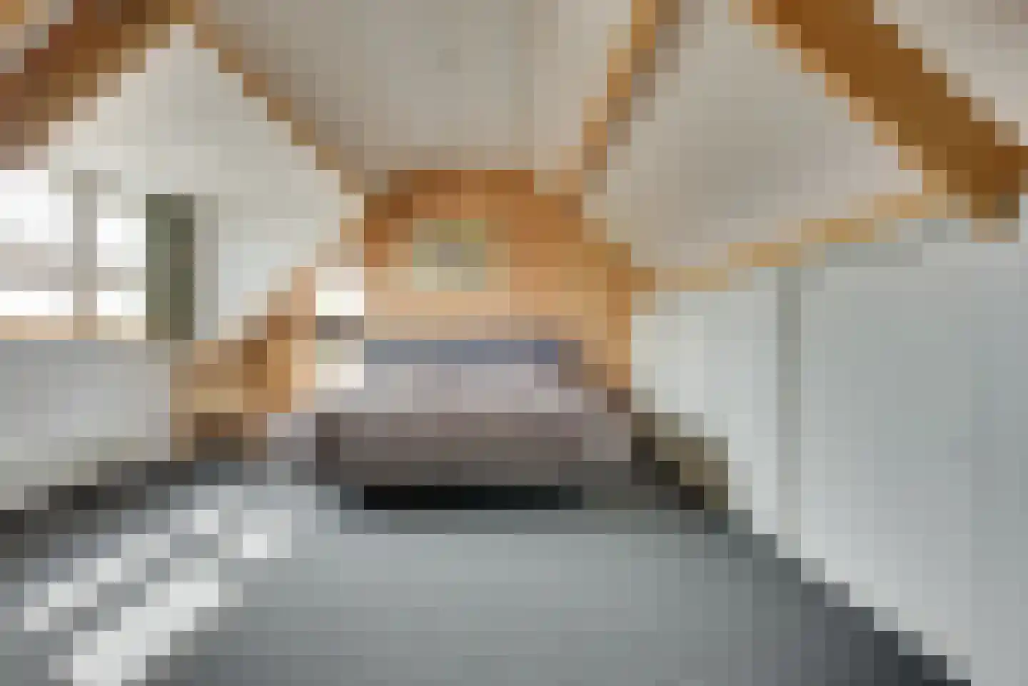 Kerkakkers 18 Zeeland thumbnail 31
