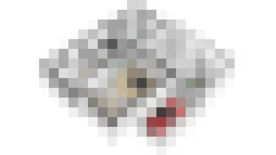 Kerkakkers 18 Zeeland thumbnail 48