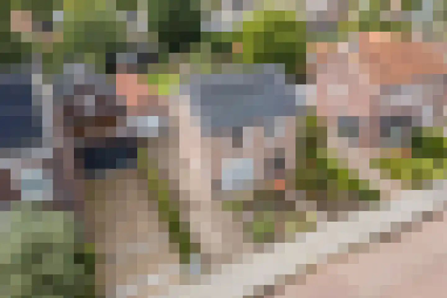 Kerkakkers 25 Duizel thumbnail 38
