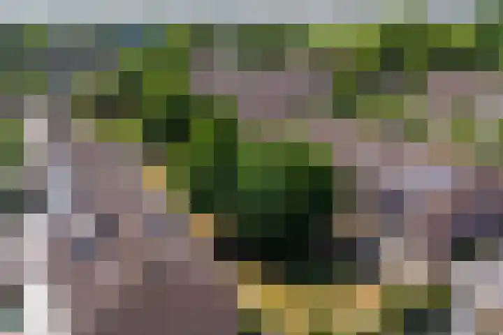 Kerkakkers 3 Alphen thumbnail 10