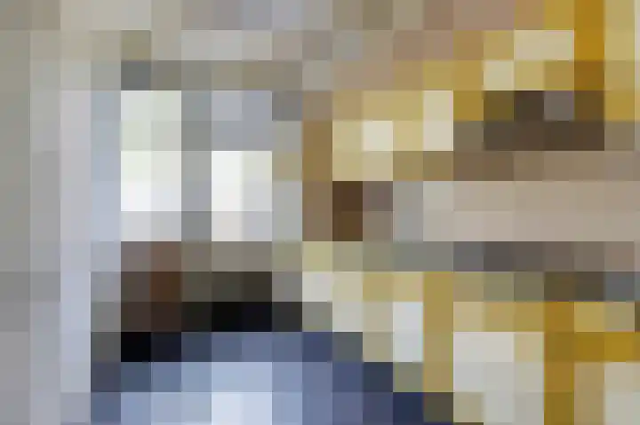 Kerkakkers 3 Alphen thumbnail 16