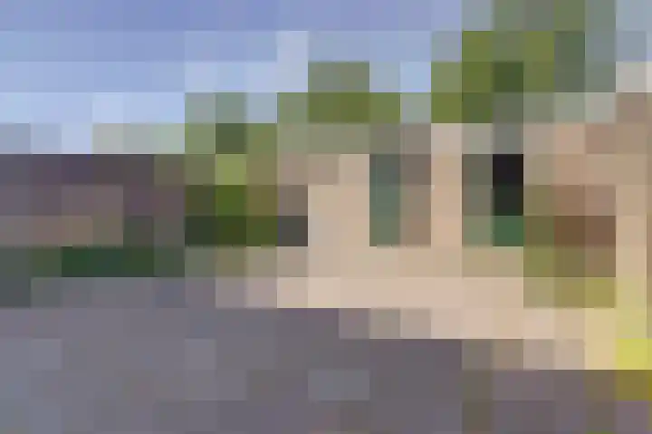 Kerkakkers 3 Alphen thumbnail 37
