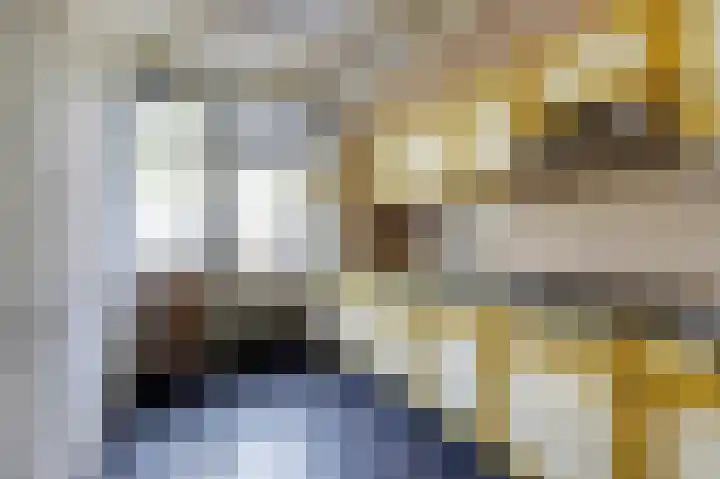 Kerkakkers 3 Alphen thumbnail 4