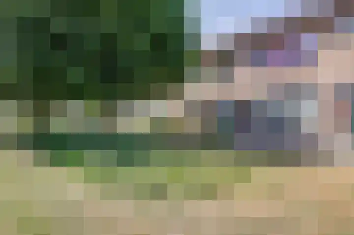 Kerkakkers 3 Alphen thumbnail 42