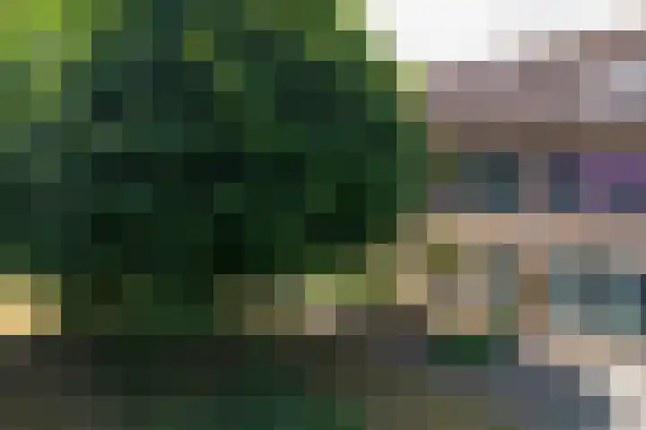 Kerkakkers 3 Alphen thumbnail 44