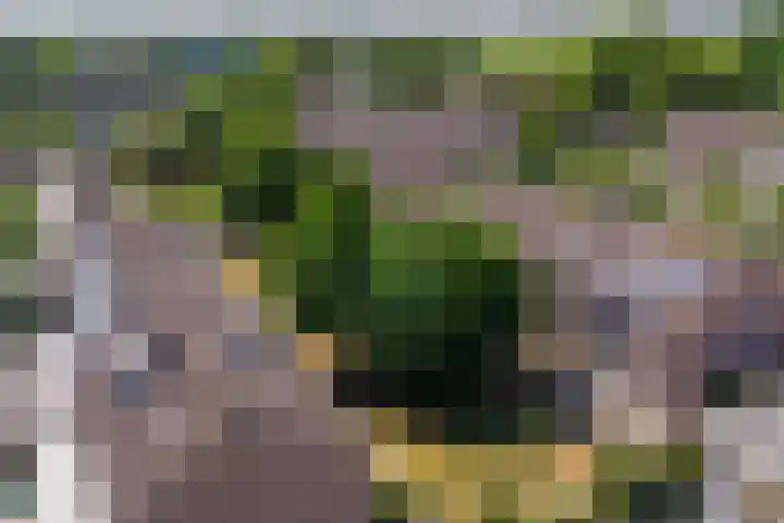 Kerkakkers 3 Alphen thumbnail 45