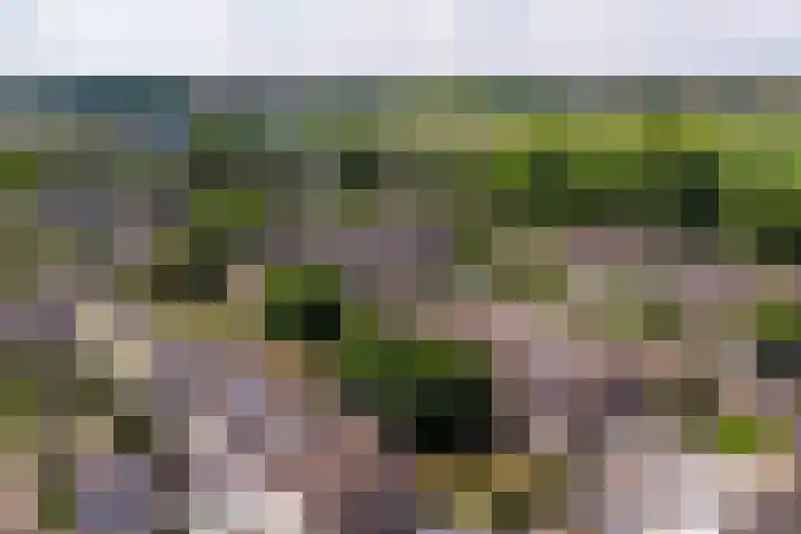 Kerkakkers 3 Alphen thumbnail 46