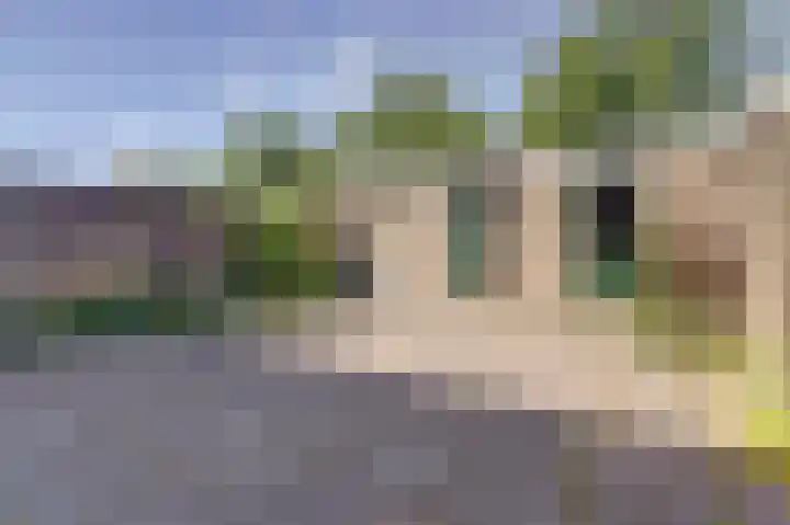 Kerkakkers 3 Alphen thumbnail 6