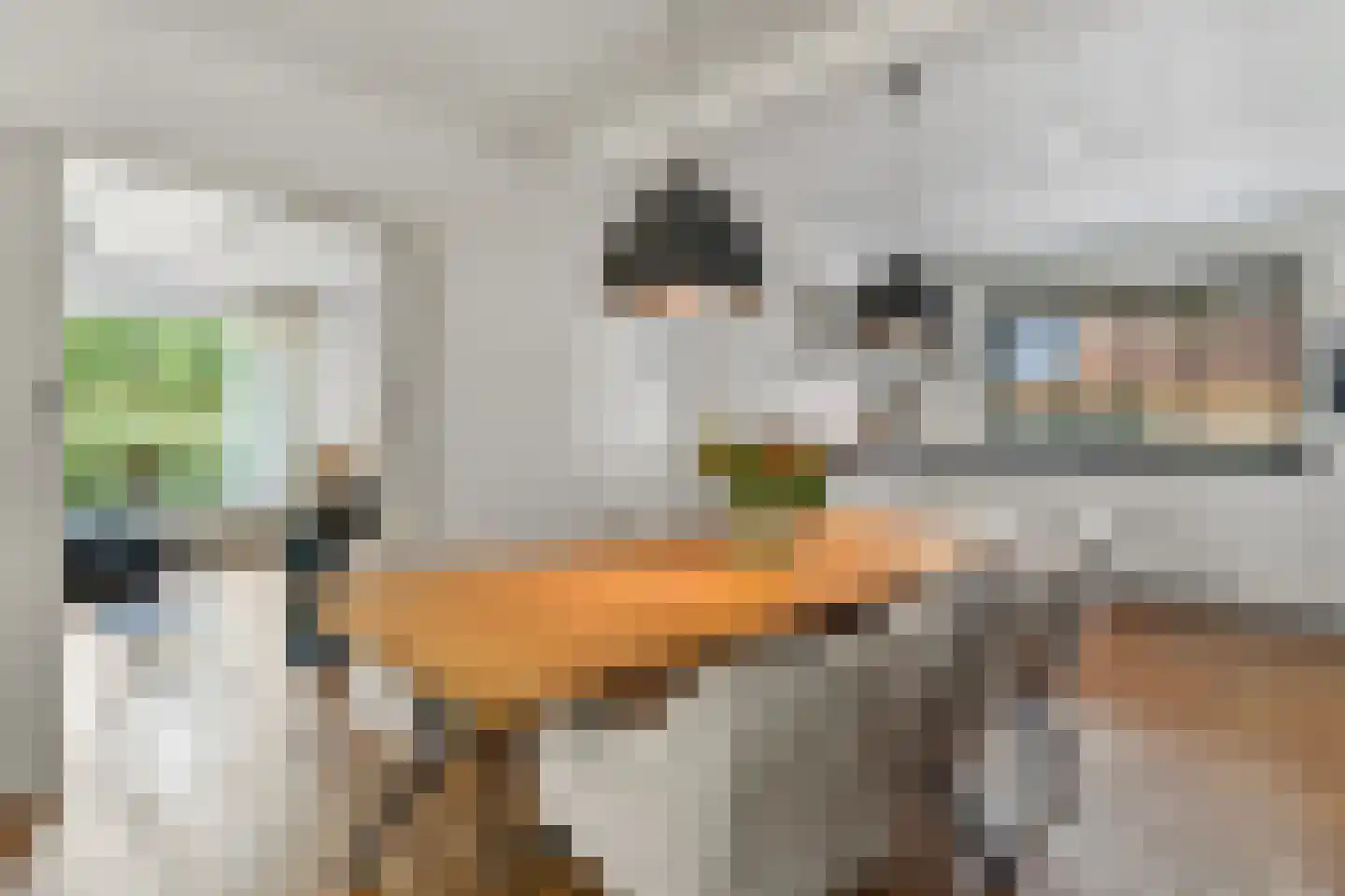 Kerkakkers 34 Groessen thumbnail 10