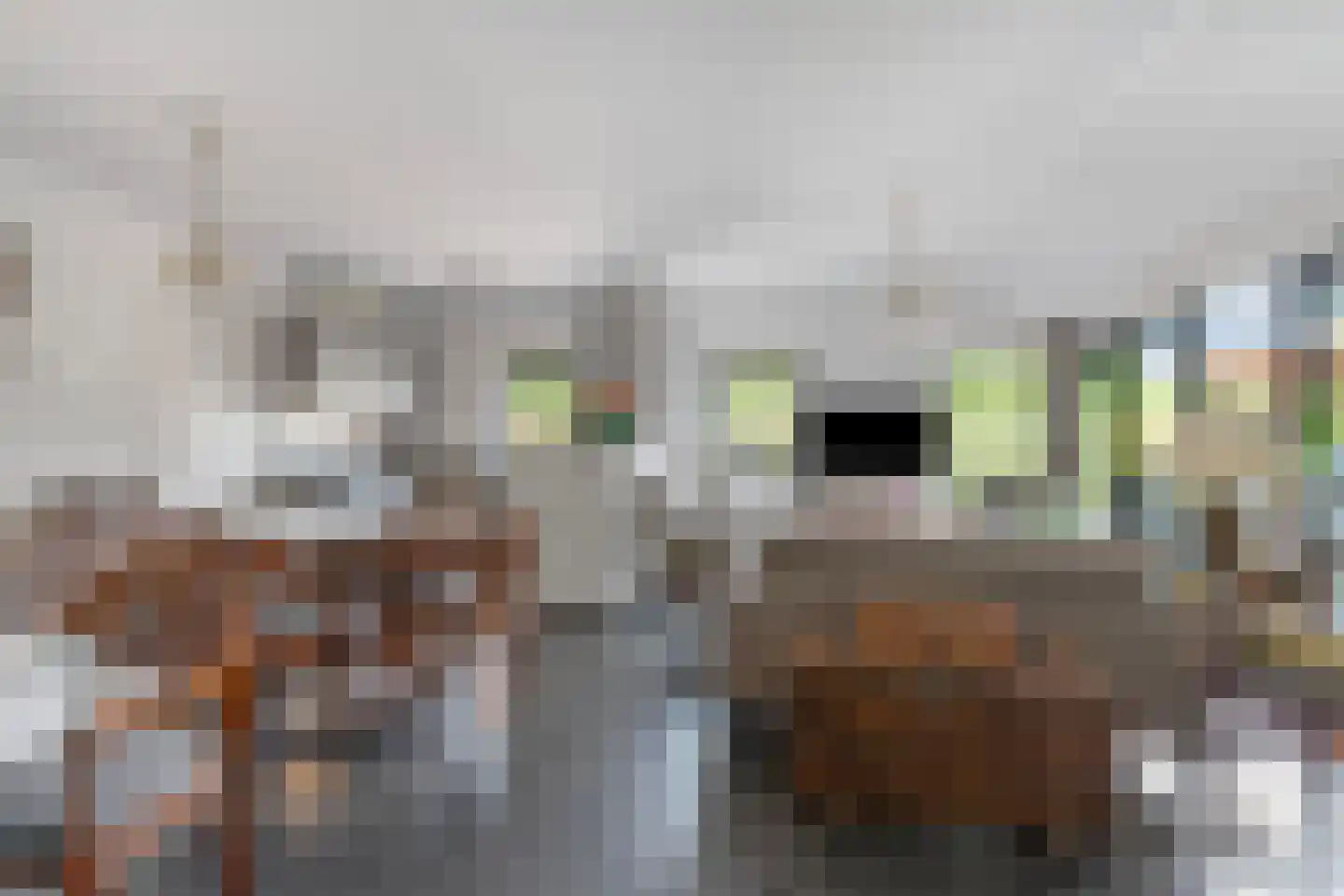 Kerkakkers 34 Groessen thumbnail 29