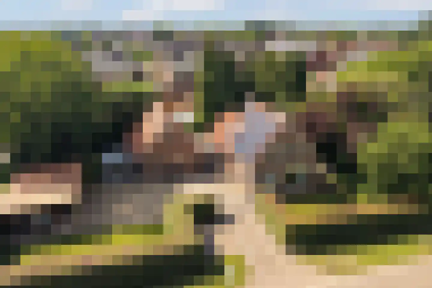 Kerkakkers 34 Groessen thumbnail 47