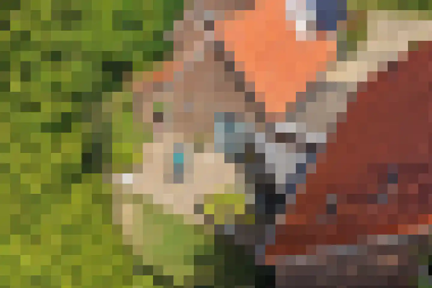 Kerkakkers 34 Groessen thumbnail 48