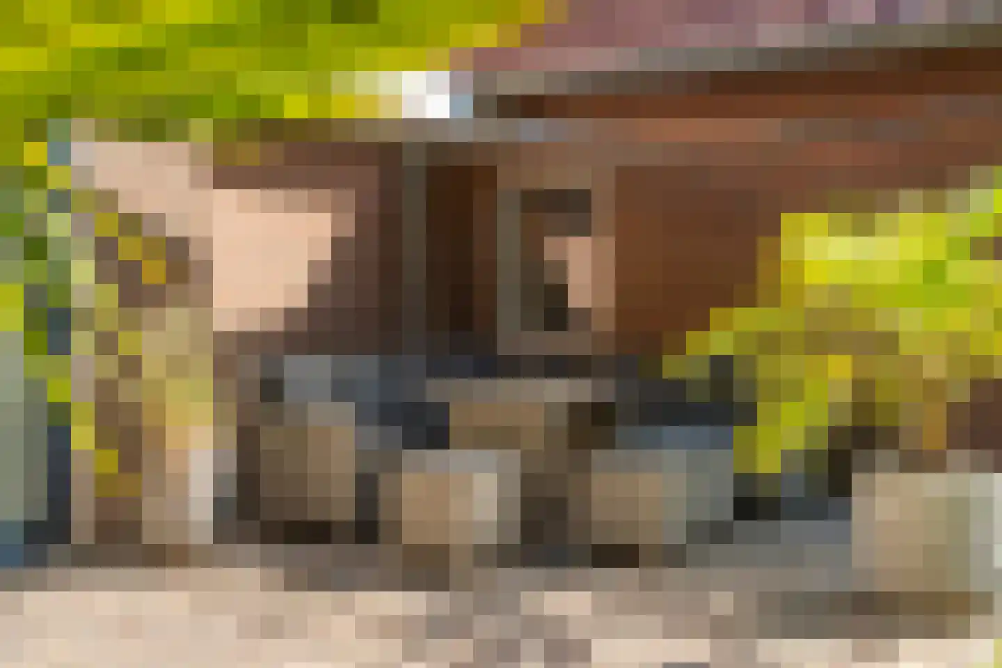 Kerkakkers 34 Groessen thumbnail 5