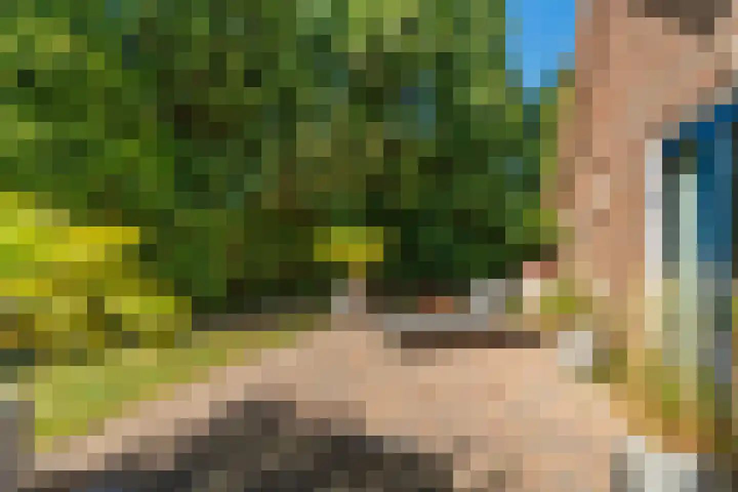 Kerkakkers 34 Groessen thumbnail 54