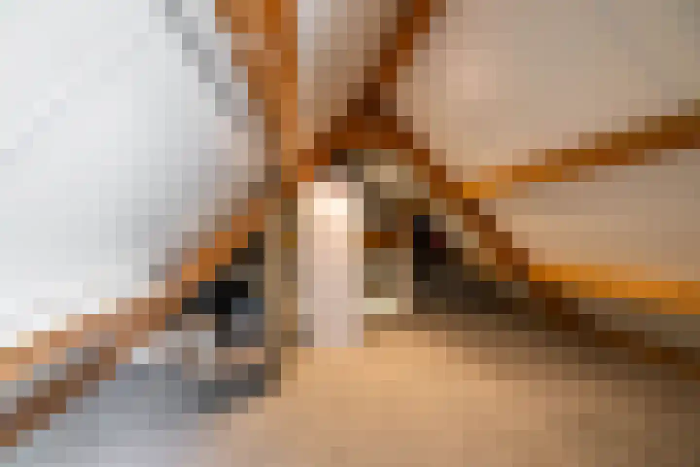 Kerkakkers 4 Annen thumbnail 46