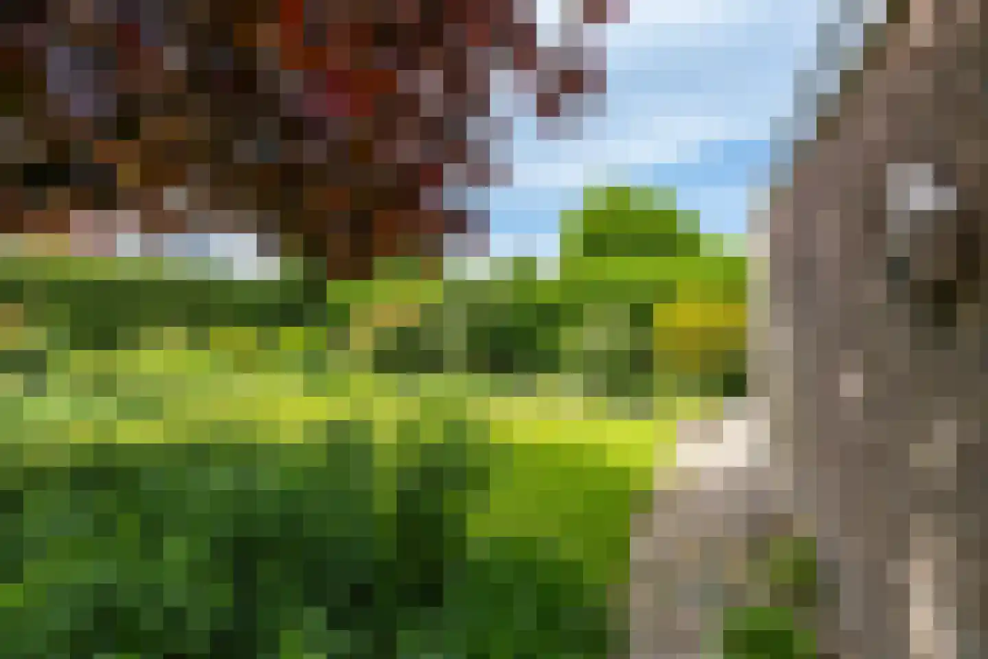 Kerkakkers 4 Annen thumbnail 51