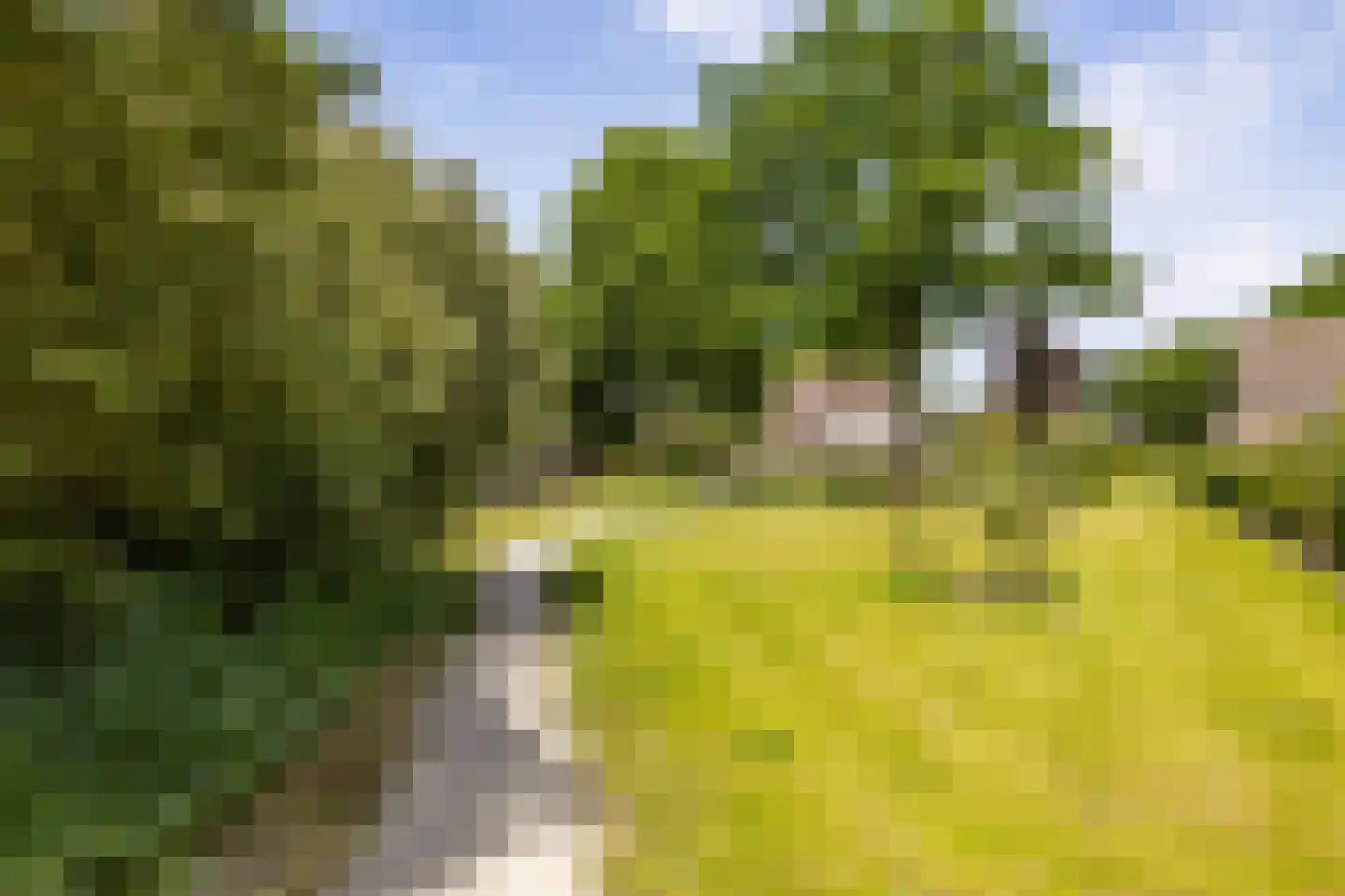 Kerkakkers 4 Annen thumbnail 56