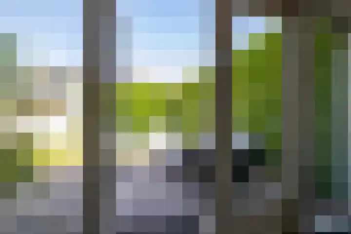 Kerkakkers 46 Annen thumbnail 21