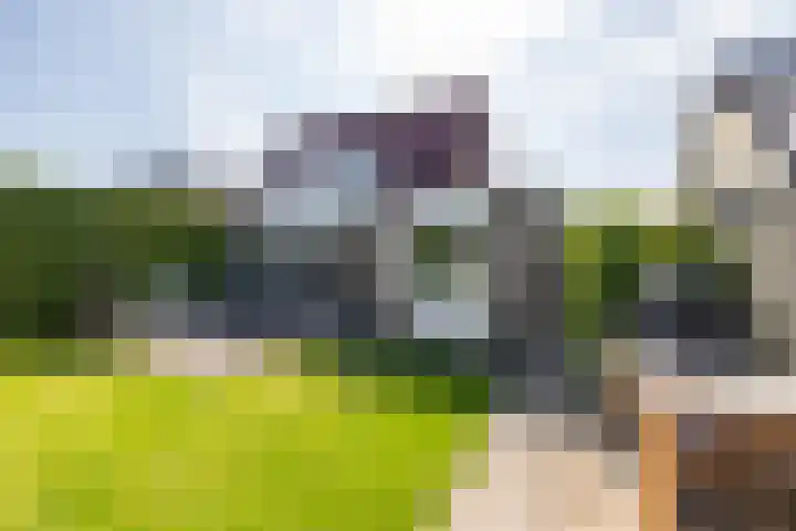 Kerkakkers 46 Annen thumbnail 25