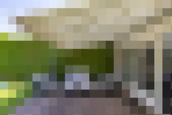 Kerkakkers 46 Annen thumbnail 28