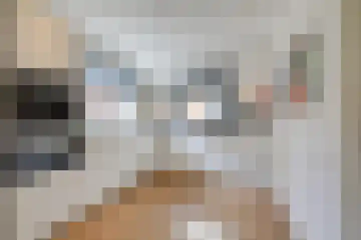 Kerkakkers 6 Groessen thumbnail 16
