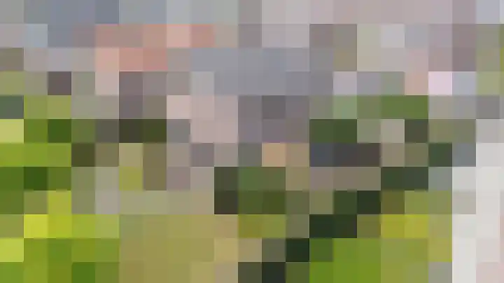 Kerkakkers 6 Groessen thumbnail 4