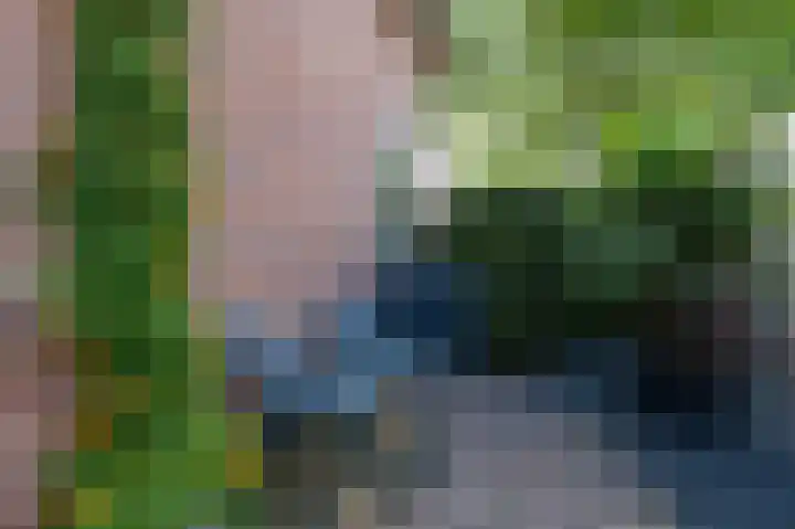 Kerkakkers 6 Groessen thumbnail 43