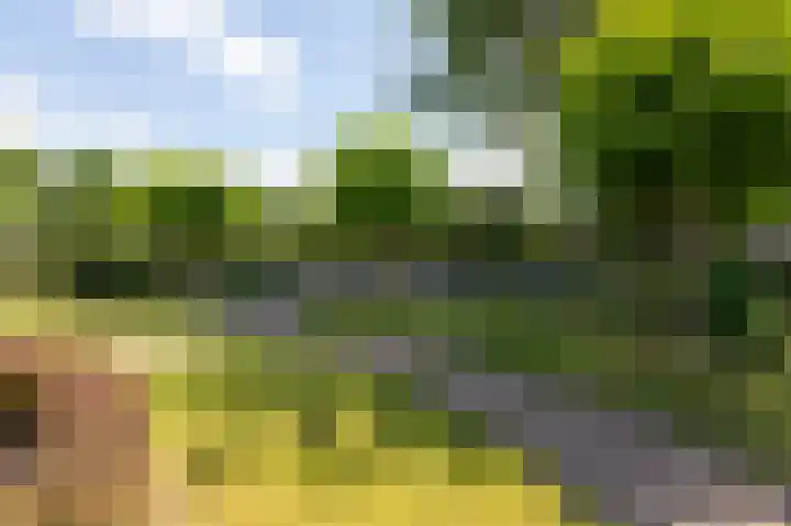 Kerkakkers 6 Groessen thumbnail 53