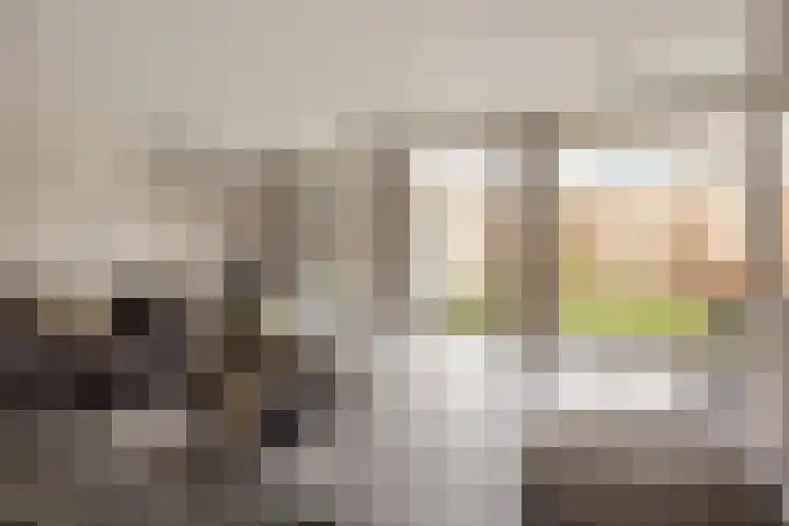 Kerkakkers 7 Zeeland thumbnail 10