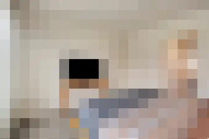 Kerkakkers 7 Zeeland thumbnail 17
