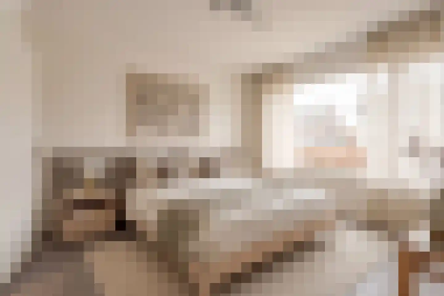Kerkakkers 7 Zeeland thumbnail 20