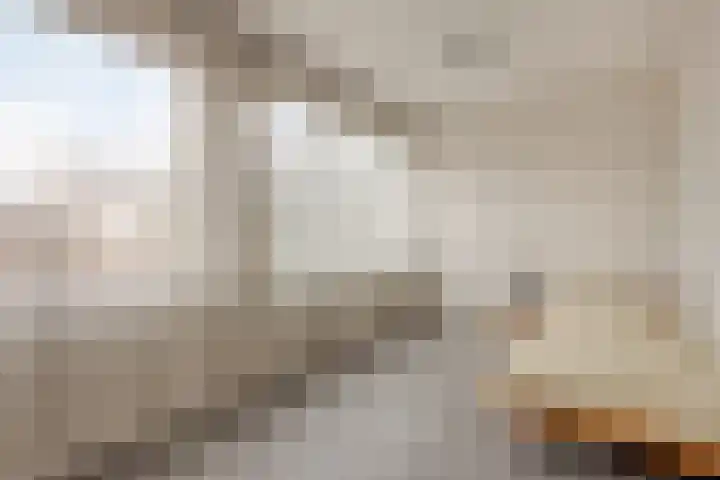 Kerkakkers 7 Zeeland thumbnail 23