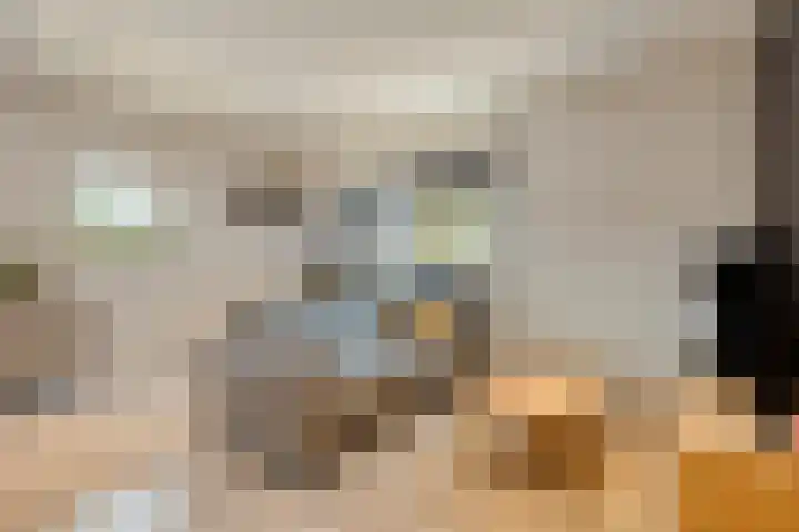 Kerkakkers 7 Zeeland thumbnail 26