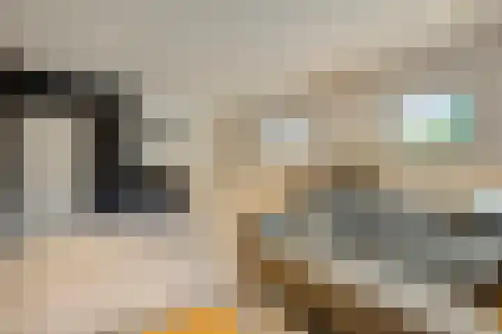 Kerkakkers 7 Zeeland thumbnail 28