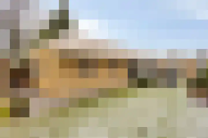 Kerkakkers 7 Zeeland thumbnail 31