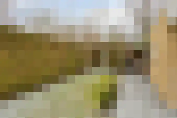 Kerkakkers 7 Zeeland thumbnail 32