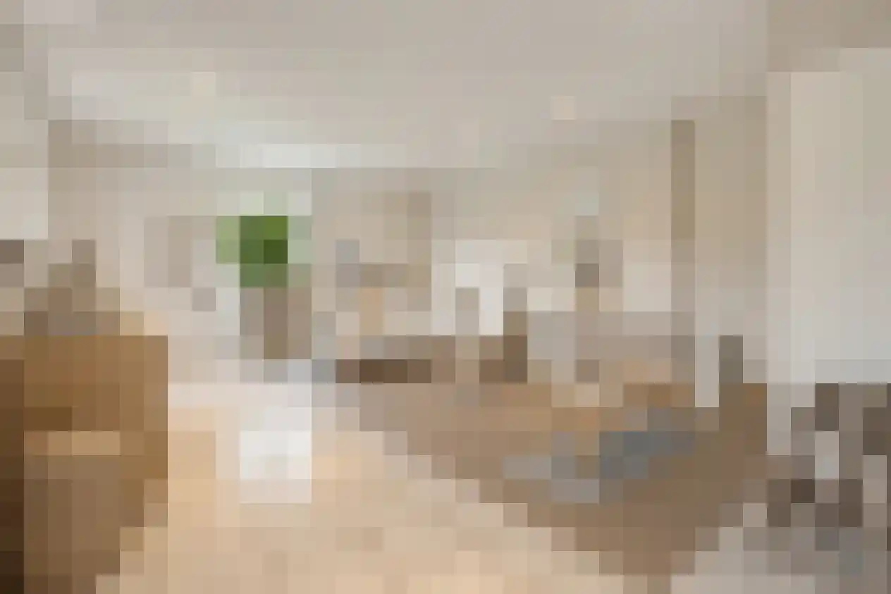 Kerkakkers 7 Zeeland thumbnail 33
