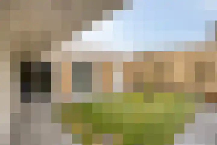 Kerkakkers 7 Zeeland thumbnail 37