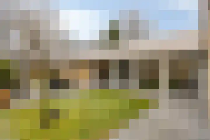 Kerkakkers 7 Zeeland thumbnail 39