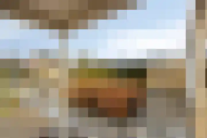 Kerkakkers 7 Zeeland thumbnail 40
