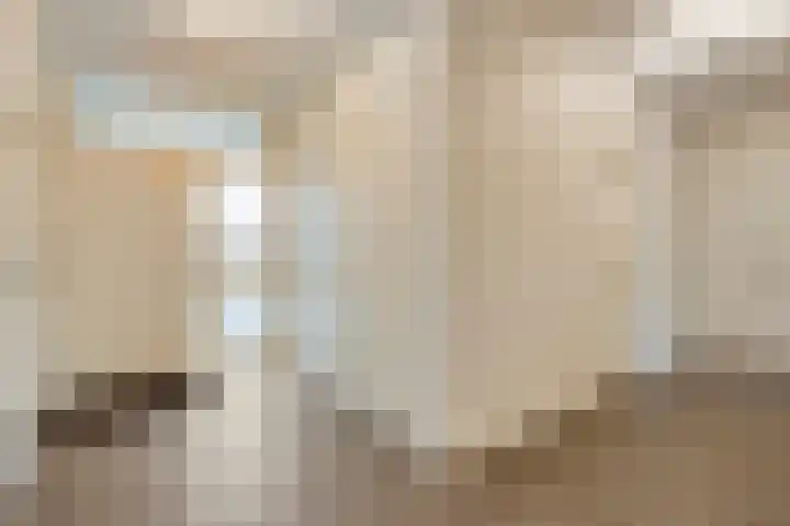 Kerkakkers 7 Zeeland thumbnail 5