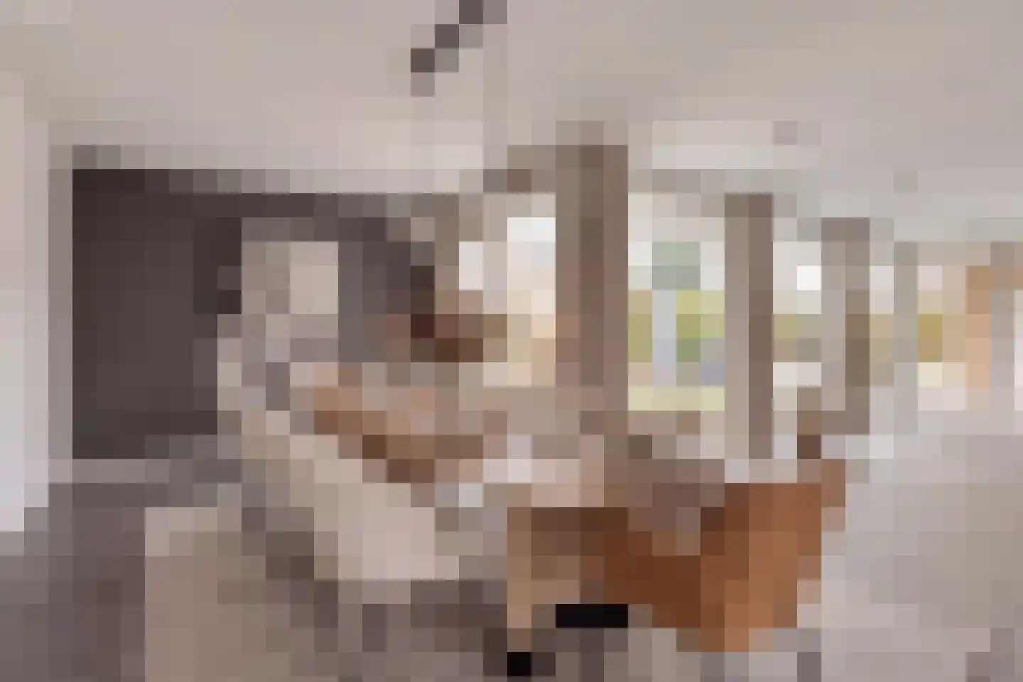 Kerkakkers 7 Zeeland thumbnail 7