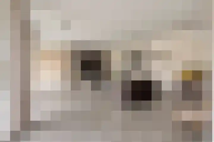 Kerkakkers 7 Zeeland thumbnail 9