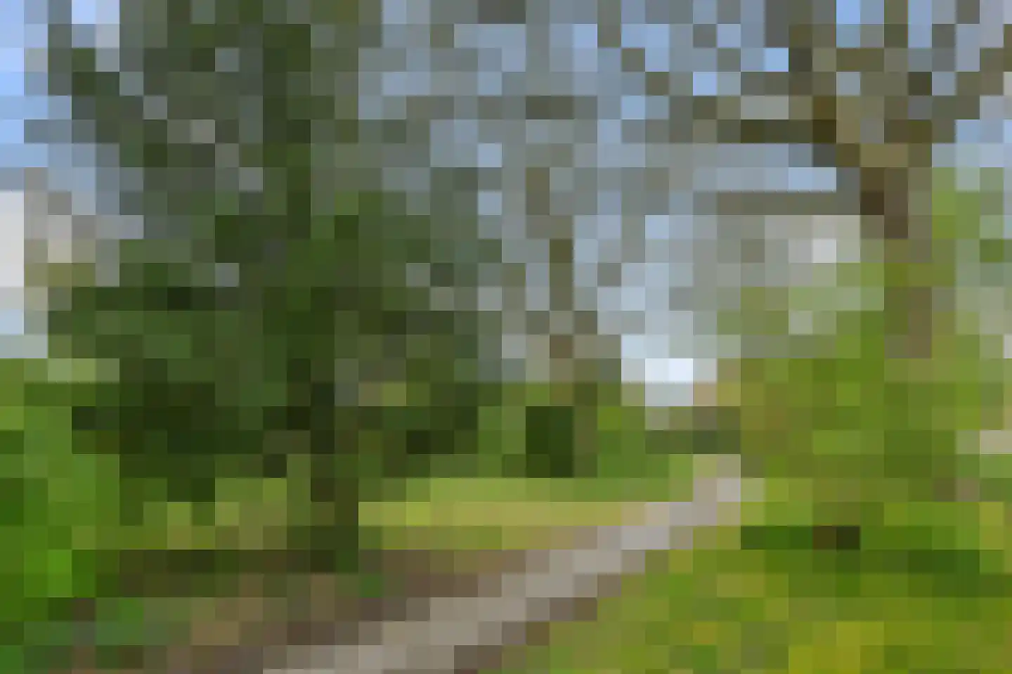 Kerkakkers 77 Heiloo thumbnail 34
