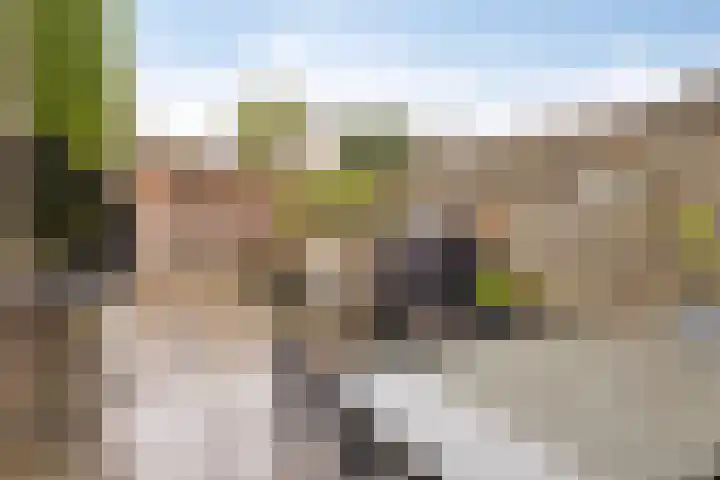 Kerkakkers 79 Heiloo thumbnail 12