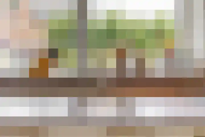 Kerkakkers 79 Heiloo thumbnail 17