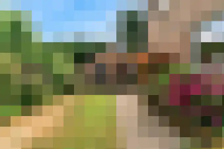 Kerkakkers 79 Heiloo thumbnail 4