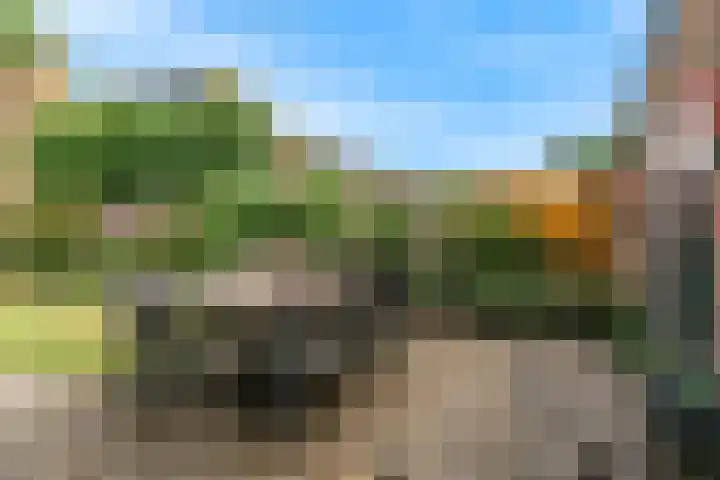 Kerkakkers 79 Heiloo thumbnail 42